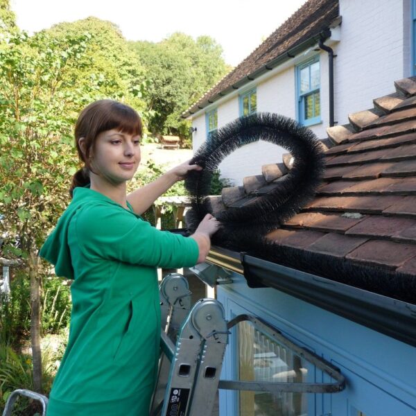 hedgehog gutter brush