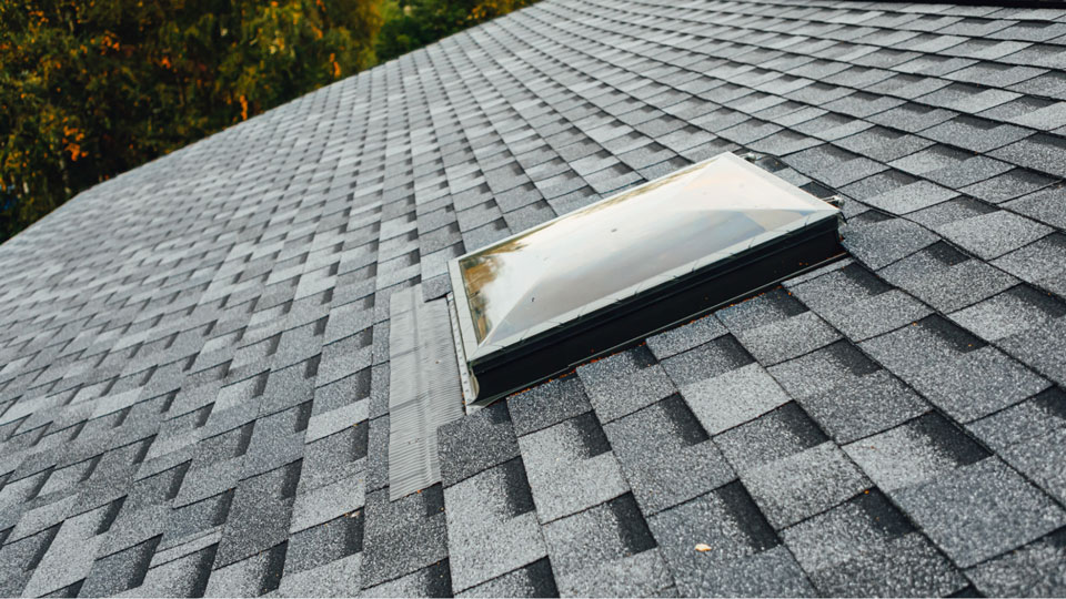 roof windows
